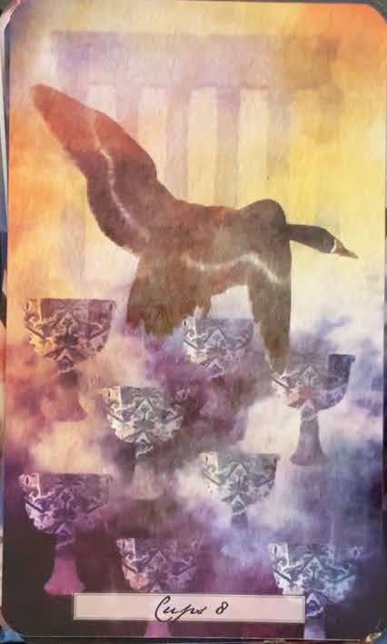 The Uncommon Tarot Shaheen Miro